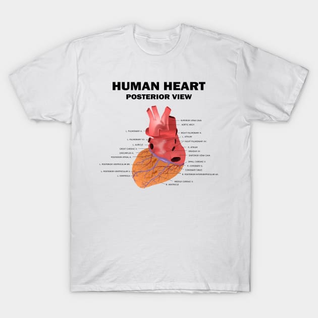 Anatomical Heart Human - Human Heart Posterior View T-Shirt by HomerNewbergereq